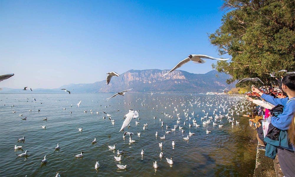 Hồ Điền Trì - Bảo Hoa Tự - Quan Độ Cổ Trấn